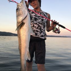 アマテラス 釣果