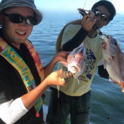 遊漁船メテオ 釣果