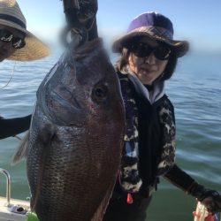 遊漁船メテオ 釣果