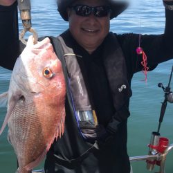 遊漁船メテオ 釣果