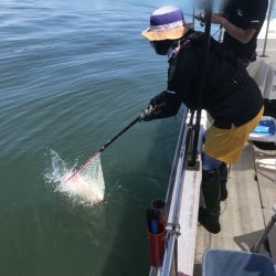 遊漁船メテオ 釣果