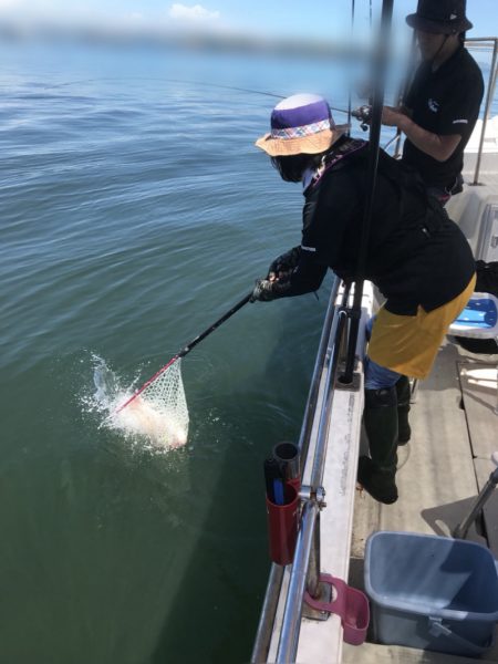 遊漁船メテオ 釣果
