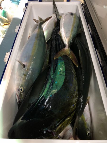 第二八坂丸 釣果