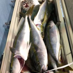 第二八坂丸 釣果