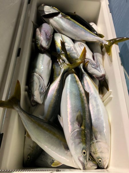 第二八坂丸 釣果