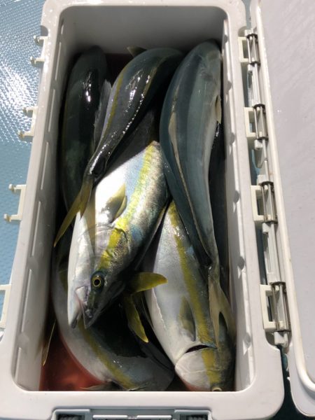 第二八坂丸 釣果