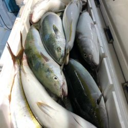 第二八坂丸 釣果