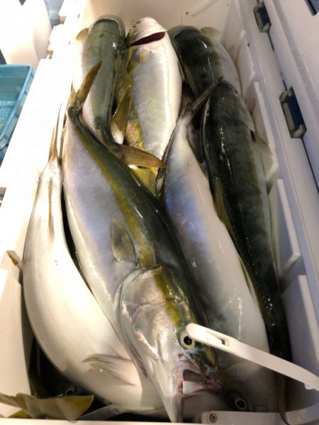 第二八坂丸 釣果