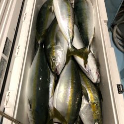 第二八坂丸 釣果