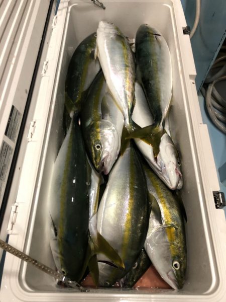 第二八坂丸 釣果