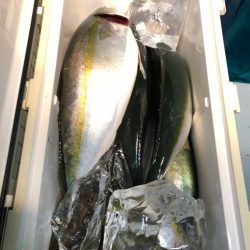 第二八坂丸 釣果