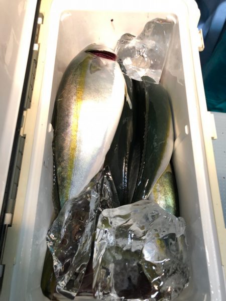 第二八坂丸 釣果