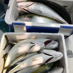 第二八坂丸 釣果