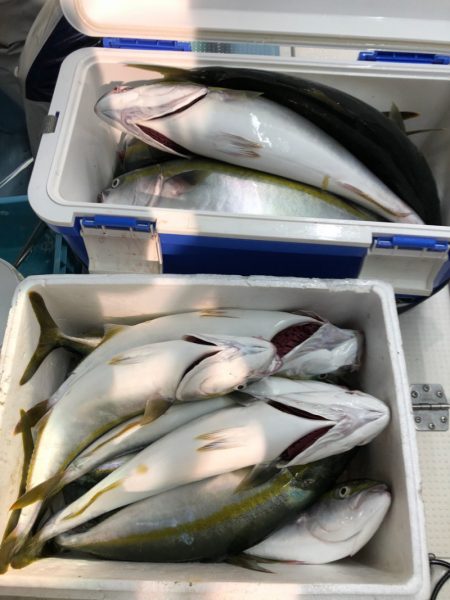 第二八坂丸 釣果