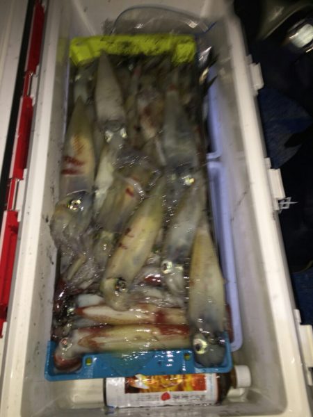 海龍丸(石川) 釣果