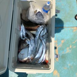 丸万釣船 釣果