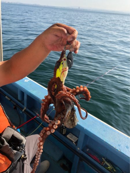 ヤザワ渡船 釣果