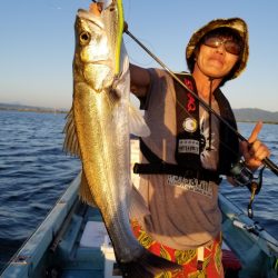 アマテラス 釣果