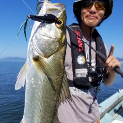 アマテラス 釣果