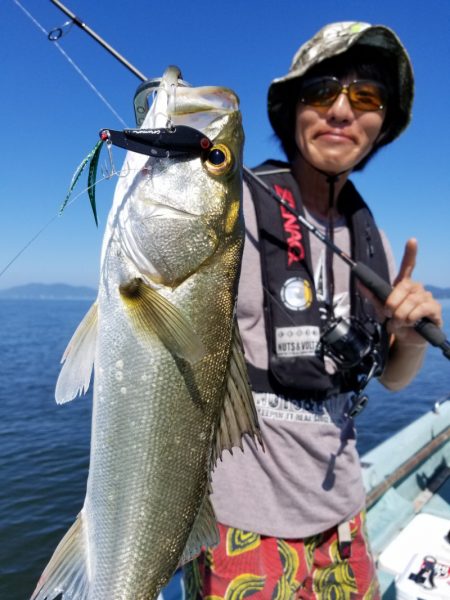 アマテラス 釣果