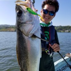 アマテラス 釣果