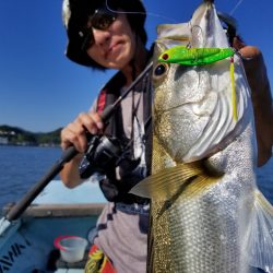 アマテラス 釣果