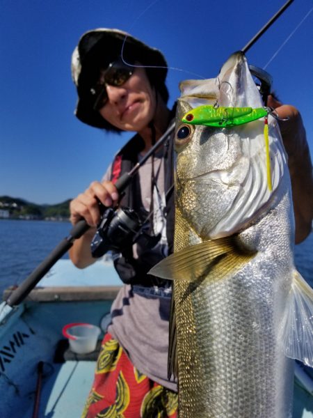 アマテラス 釣果