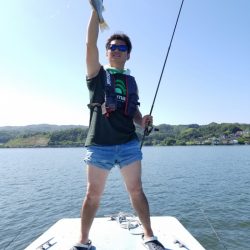 アマテラス 釣果