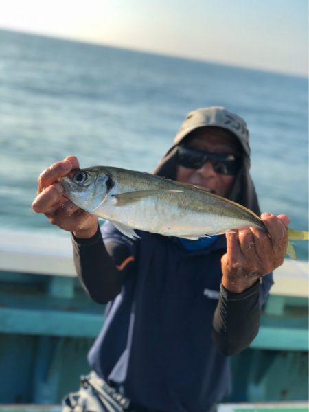 丸万釣船 釣果