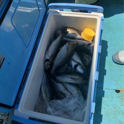 丸万釣船 釣果