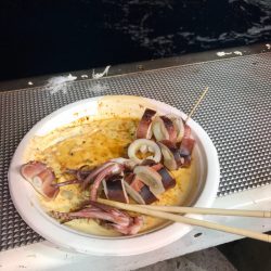 シーランチ 釣果