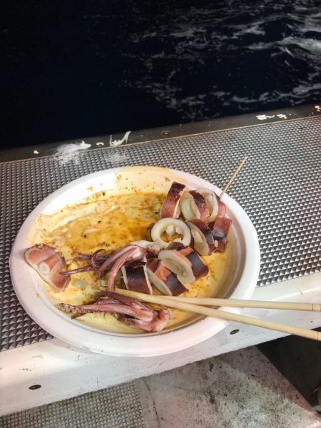 シーランチ 釣果