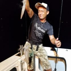 アマテラス 釣果