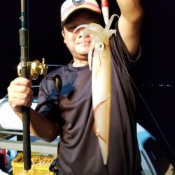 アマテラス 釣果