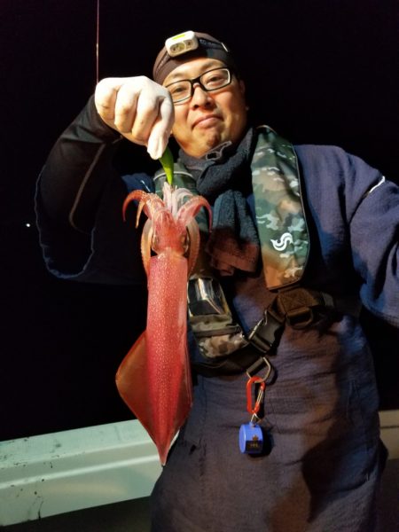 アマテラス 釣果