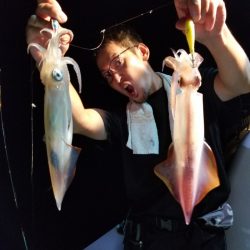 アマテラス 釣果