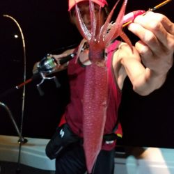 アマテラス 釣果