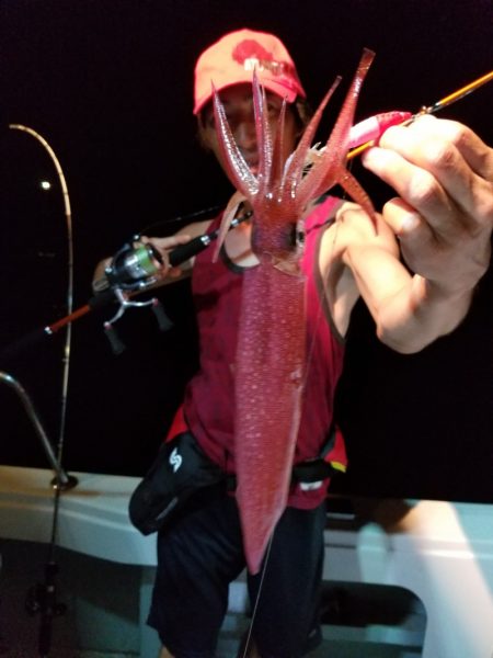 アマテラス 釣果