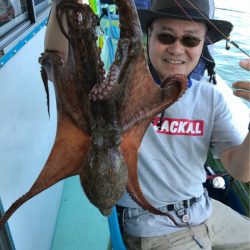 ヤザワ渡船 釣果
