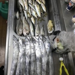 うさぎ丸 釣果