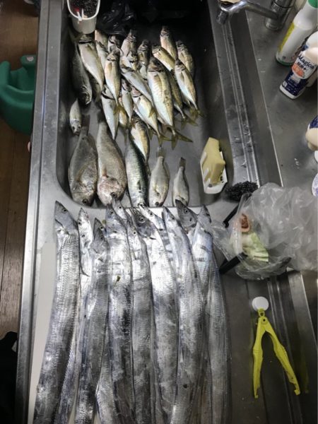 うさぎ丸 釣果