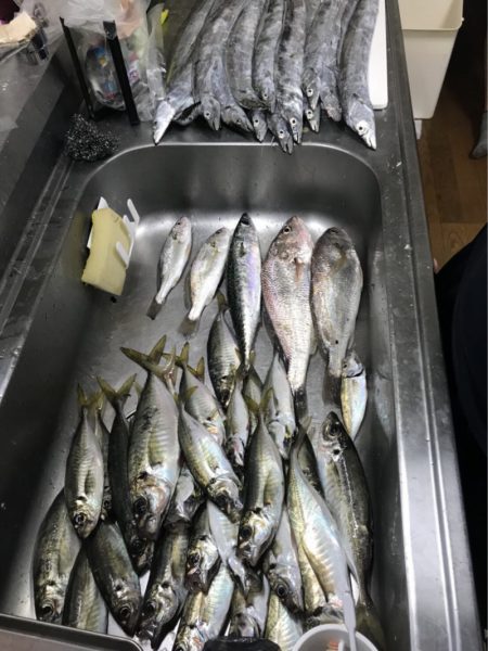 うさぎ丸 釣果