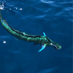 あみや渡船 JIGBOY 釣果