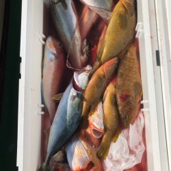 あみや渡船 JIGBOY 釣果