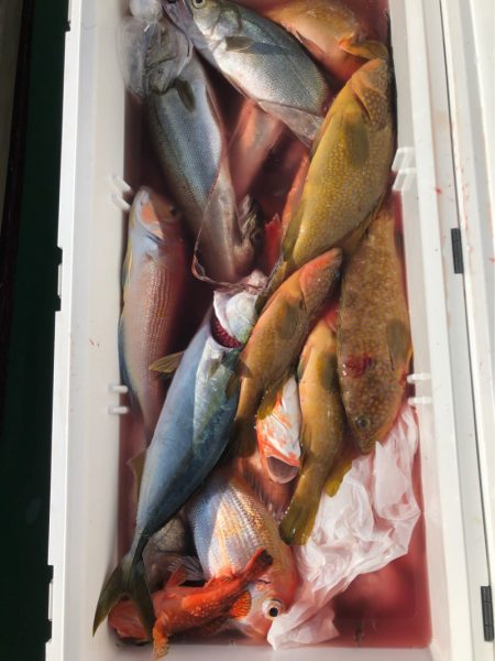 あみや渡船 JIGBOY 釣果