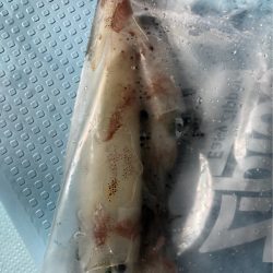 第二八坂丸 釣果