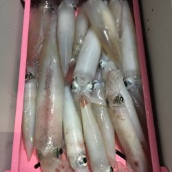 渡船屋たにぐち 釣果