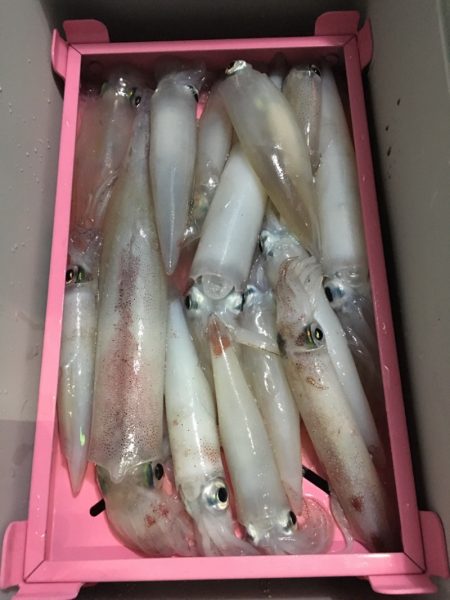 渡船屋たにぐち 釣果