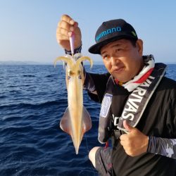 ソルトウォーターガイドフレンズ 釣果