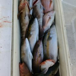 bay style 釣果